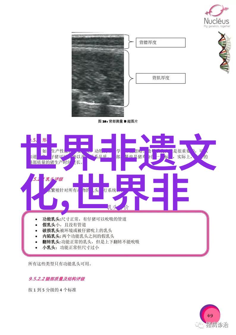 首个文化遗产类973计划项目完成目标任务