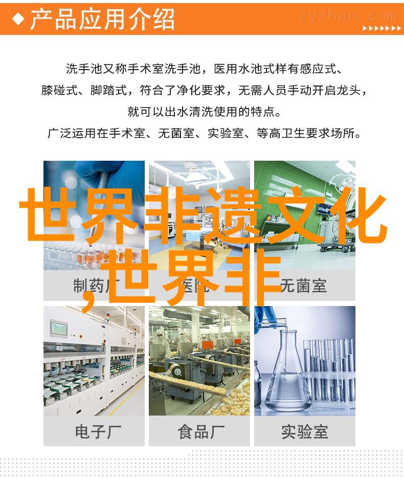 美洲玻利维亚伊查佩克内-皮埃斯塔莫克索斯地区圣伊格纳西奥得莫索斯的最大节日 Ichapekene P